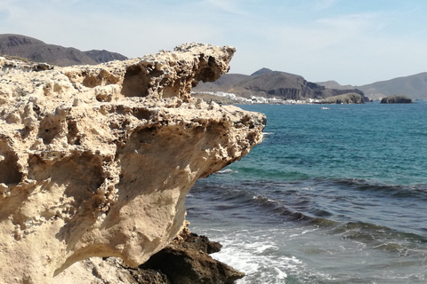 Parc naturel de Cabo de Gata-Níjar : journée d’excursionJournée à Cabo de Gata depuis Retamar/El Toyo