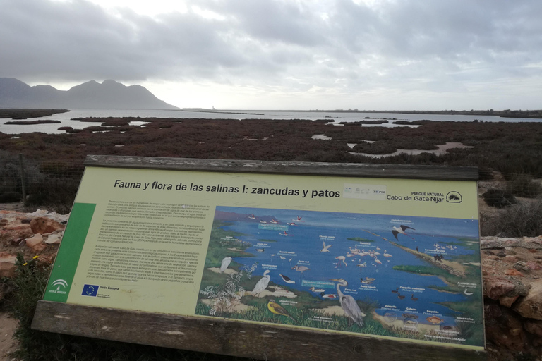 Parc naturel de Cabo de Gata-Níjar : journée d’excursionJournée à Cabo de Gata depuis Retamar/El Toyo