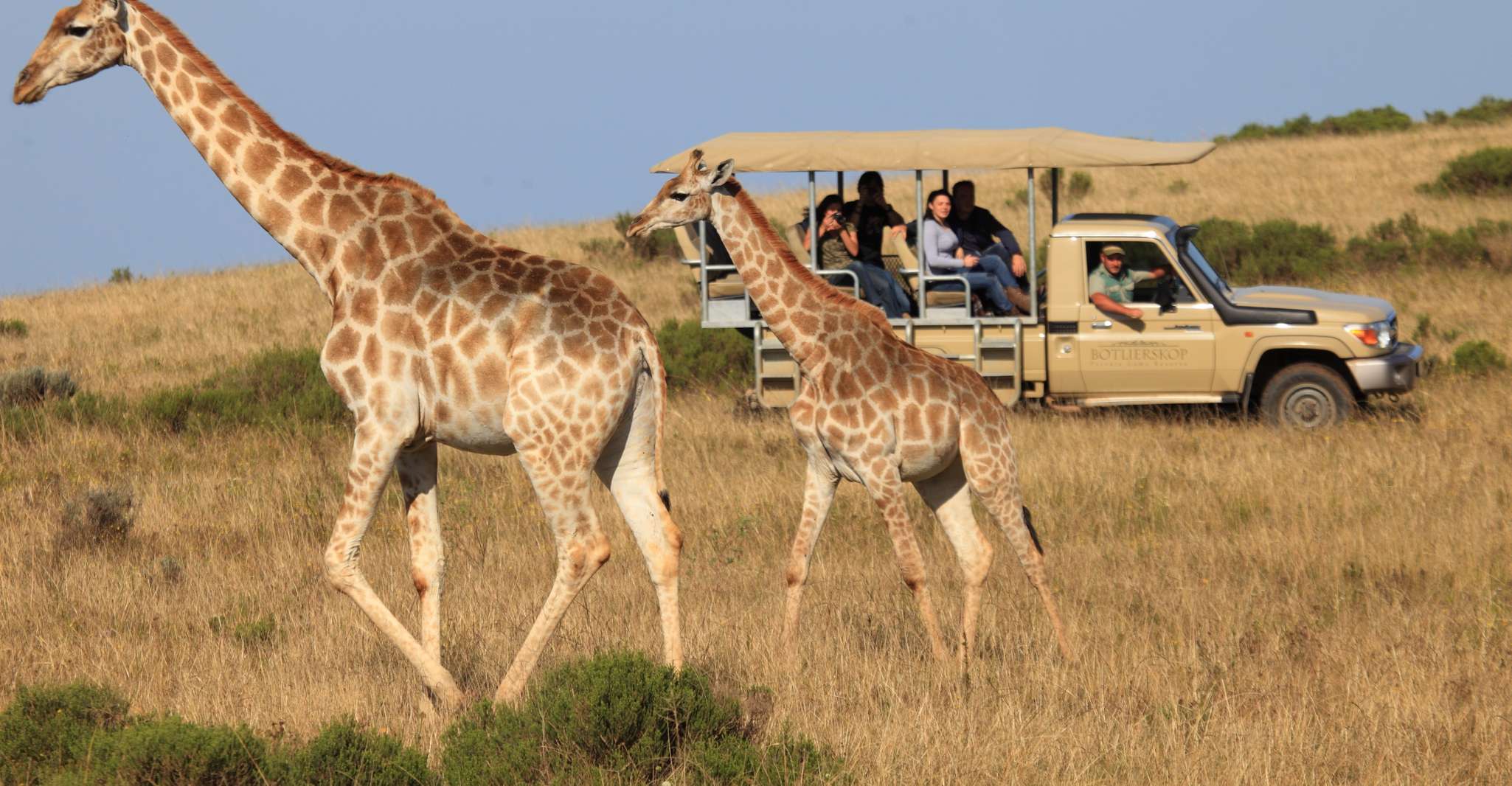 Little Brak River, Botlierskop Guided Game Drive - Housity