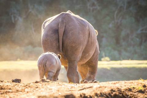 Little Brak River: Botlierskop Guided Game Drive