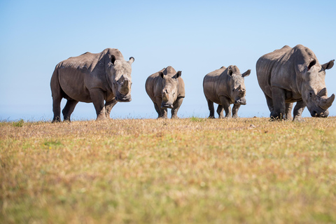 Little Brak River: Botlierskop Guided Game Drive