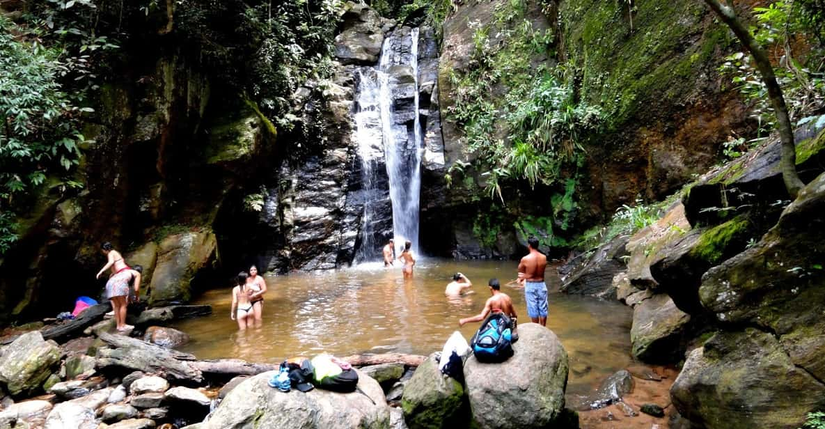 Rio: Tijuca Forest & Horto Waterfalls Circuit Tour | GetYourGuide