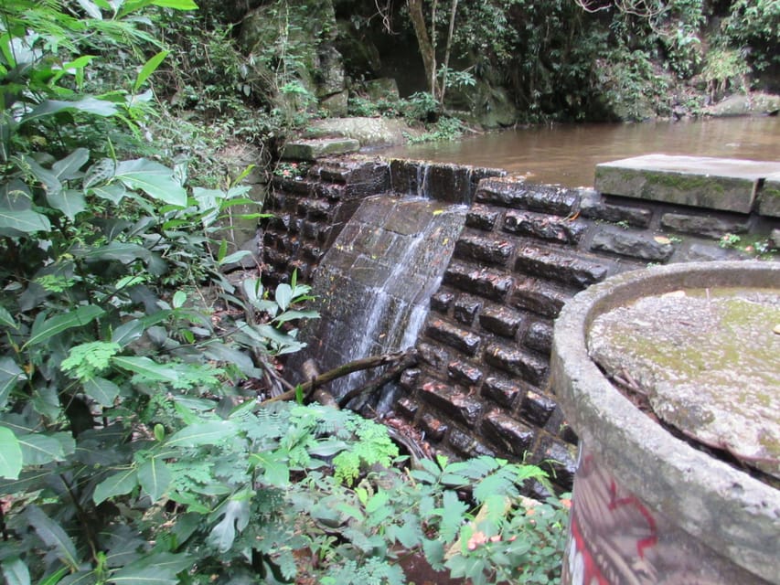 Passeios virtuais permitem visitas a museus, trilhas na floresta e diversos  pontos turísticos do RJ, Rio de Janeiro