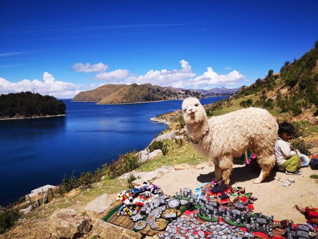 Visit From Puno Sun Island and Copacabana 1-Day Tour in Puno