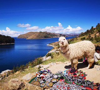 Isla del Sol: Dagtochten en excursies vanuit Puno