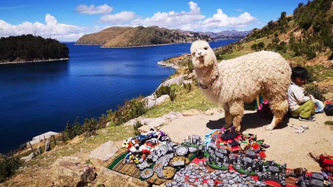 from puno sun island and copacabana 1day tour