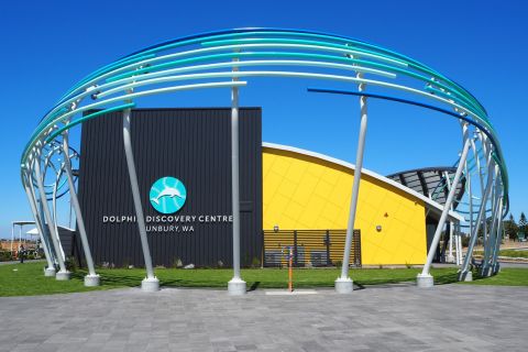 Bunbury: Dolphin Discovery Centre Experience