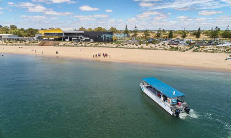 koombana bay dolphin eco cruise