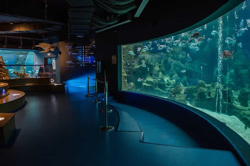 Heraklion: CRETAquarium Admission Ticket | GetYourGuide