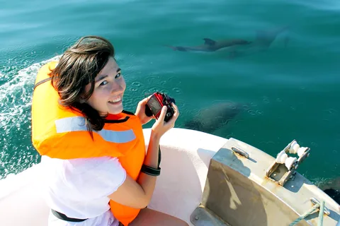Ria Formosa: Dolphin-Watching Boat Tour