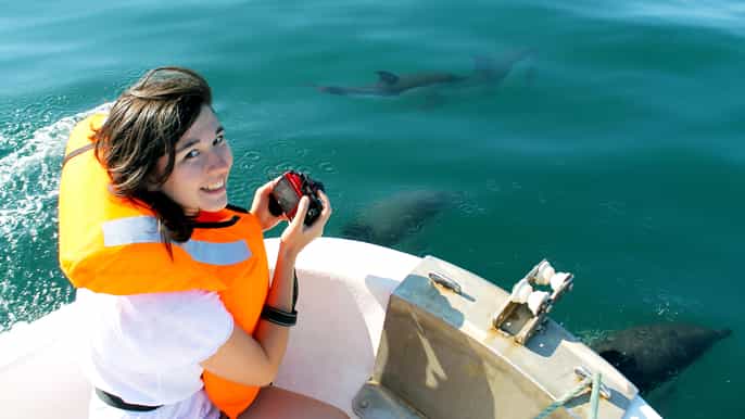 ria formosa dolphinwatching boat tour
