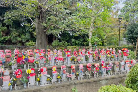 Tokyo One Day Customizable Trip With English speaking Driver