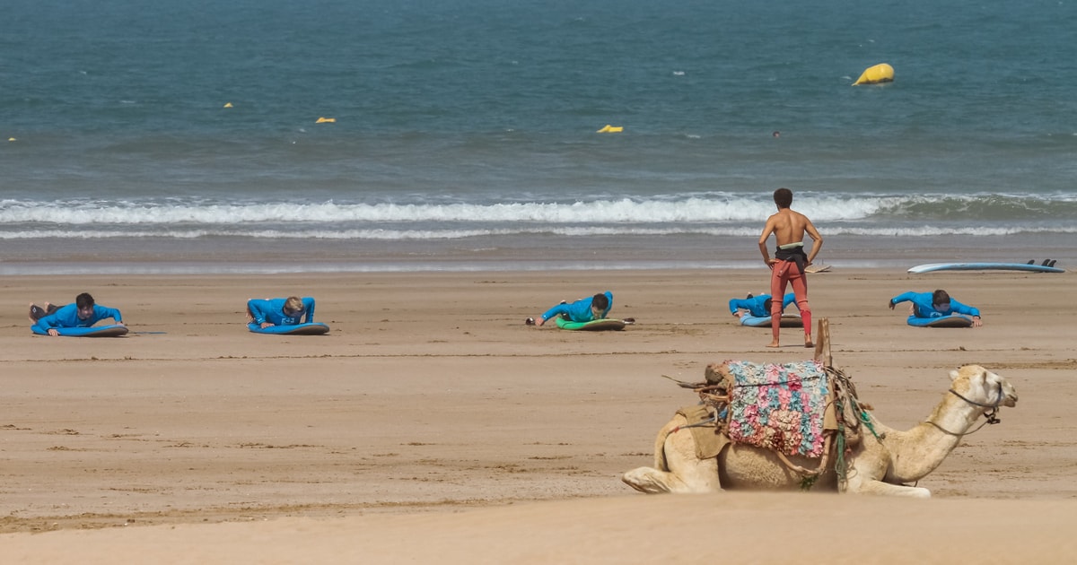 Essaouira 4 Hour Surf Lesson GetYourGuide