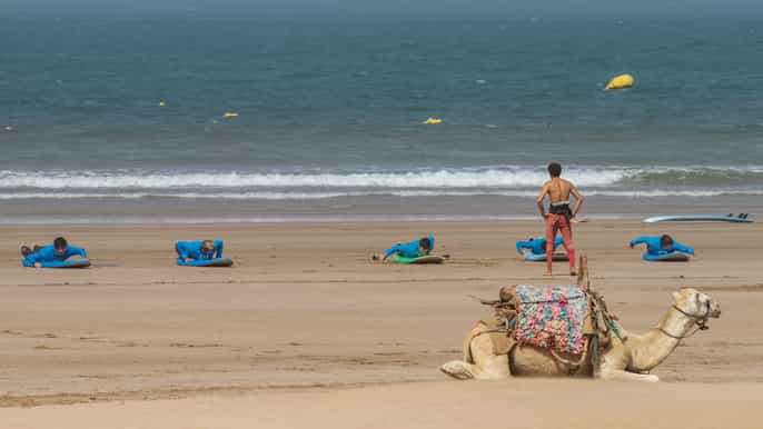 essaouira 4 hour surf lesson