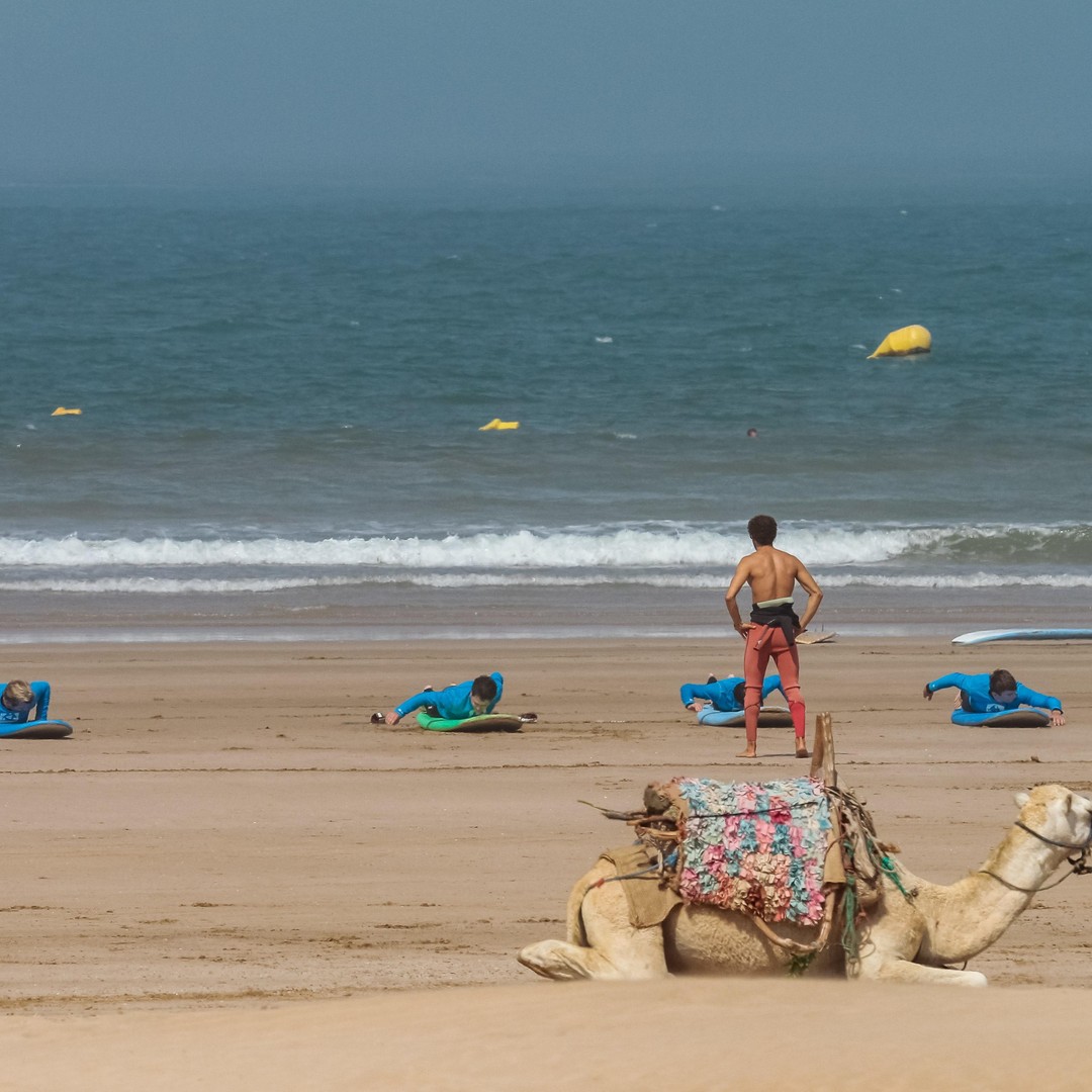 Au départ de Marrakech : Excursion de surf à Essaouira