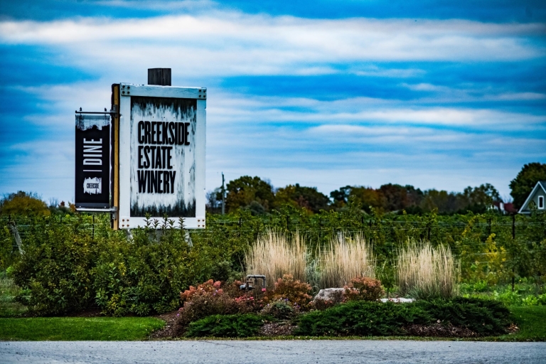 Niagara: półdniowa wycieczka po winnicy z degustacją i opcjonalnym lunchemWine Country 4-godzinna wycieczka z degustacją