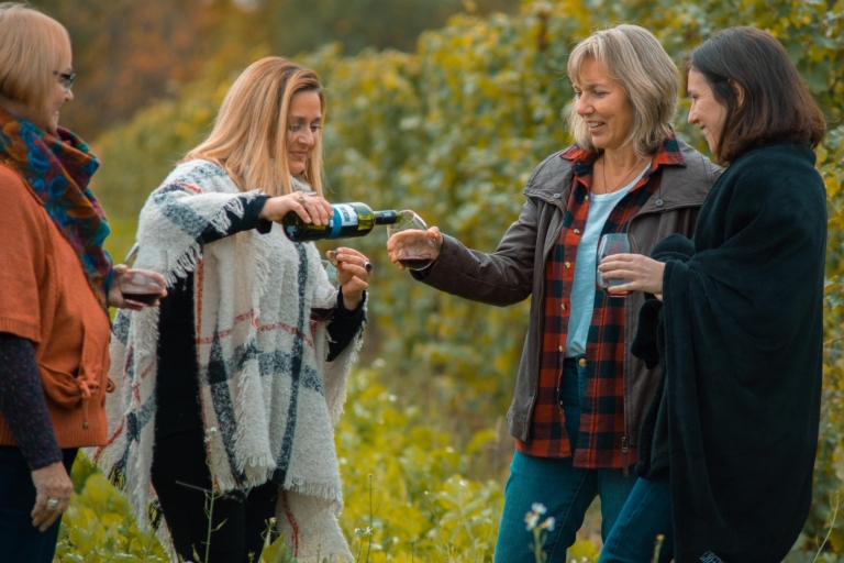 Niagara: Half-Day Winery Tour with Tastings & Optional Lunch Wine Country 4-Hour Tour with Tastings
