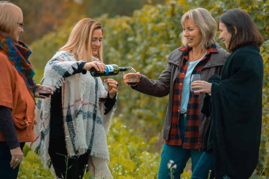 Niagara, Kanada: Halbtägige Weingut-Tour mit Verkostungen. Foto: GetYourGuide Niagara, Kanada: Halbtägige Weingut-Tour mit Verkostungen. Foto: GetYourGuide