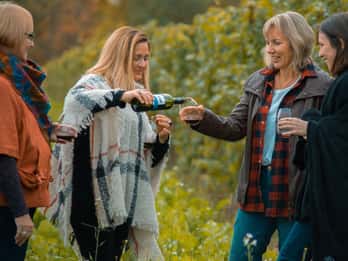 Niagara: Weingut-Tour mit Verkostungen & Mittags-Option Niagara: Weingut-Tour mit Verkostungen & Mittags-Option