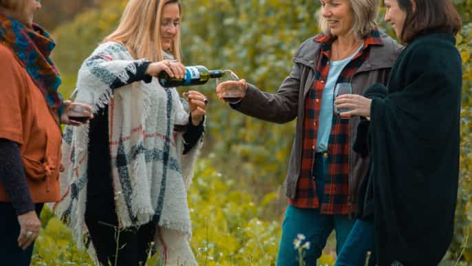 niagara visite de vignobles et dégustation avec déjeuner