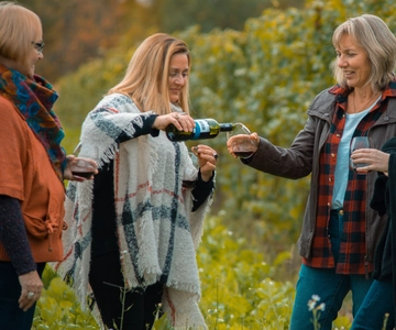 Niagara, Canada: Half-Day Winery Tour with Tastings