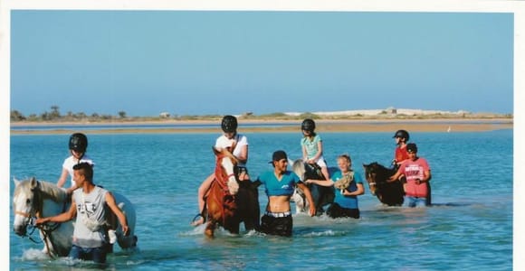 Djerba : 2 Hours Horse Riding in the Blue Lagoon