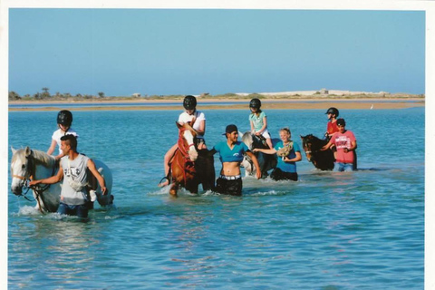 Djerba : 2 Hours Horse Riding in the Blue Lagoon