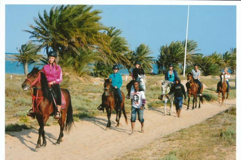 Djerba : 2 Hours Horse Riding in the Blue Lagoon