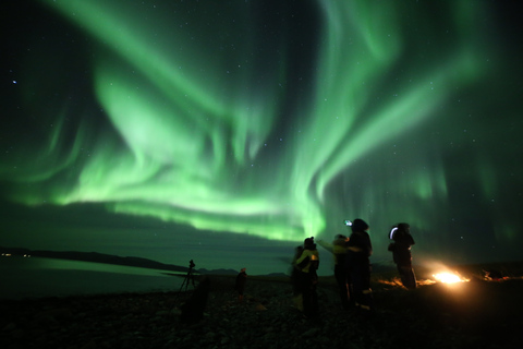 Från Tromsö: Fototur med norrskenFrån Tromsø: Rundtur med norrsken och fotografering