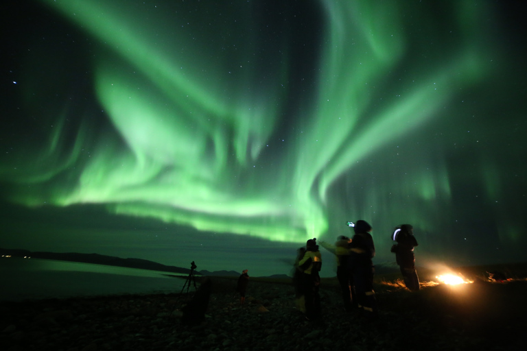 Au départ de Tromso : Tour photographique des aurores boréalesDepuis Tromsø : expédition photo et aurores boréales