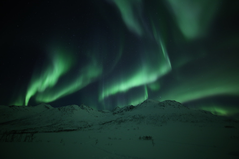 De Tromso: Excursão fotográfica da aurora borealDe Tromsø: Excursão Fotográfica Aurora Boreal