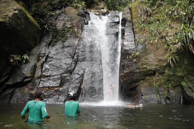 Rio: Tijuca Forest & Horto Waterfalls Circuit Tour