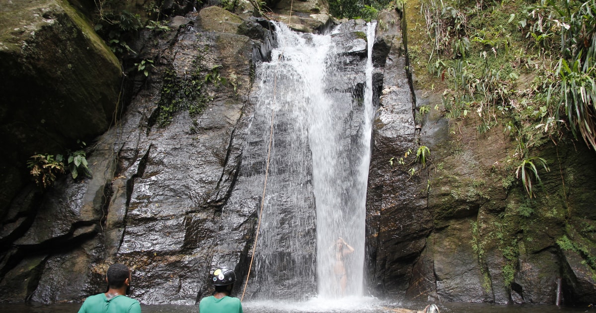 Rio  Tijuca Forest Horto Waterfalls Circuit Tour GetYourGuide