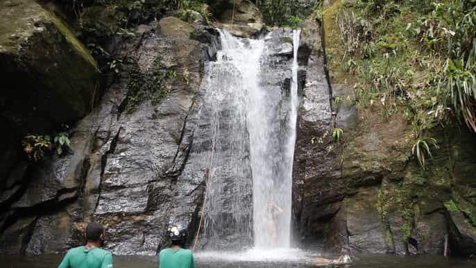 rio tijuca forest horto waterfalls circuit tour