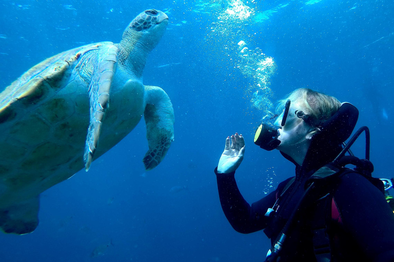 Tenerife: Découvrez la plongée sous-marine