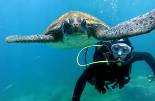 Tenerife: immersione subacquea e snorkeling 2 in 1 tra le tartarughe