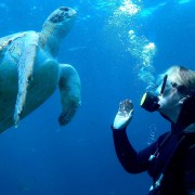 Tenerife: submarinismo para principiantes zona de tortugas