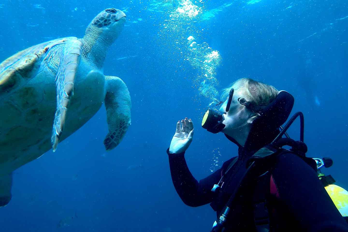 Tenerife: Your First Scuba Diving Experience in Turtle Area