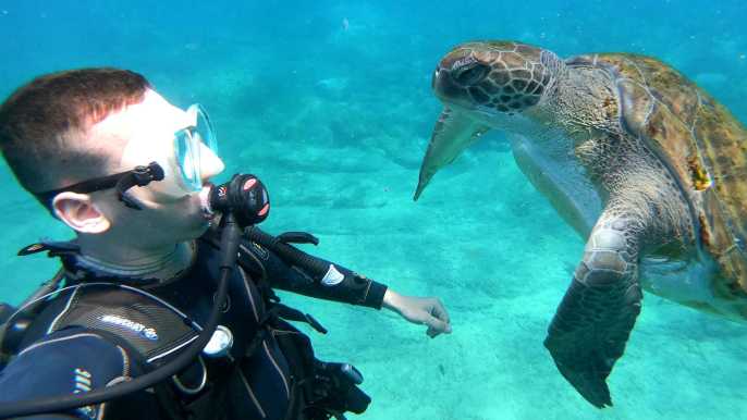 Tenerife: submarinismo para principiantes, zona de tortugas
