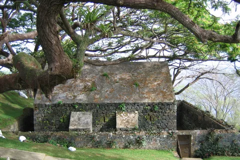 Tobago: Half-Day Highlights Tour