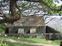 Tobago, Half Day Highlights Tour - Housity
