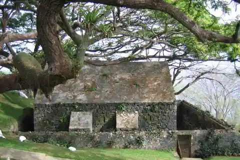 Tobago: Half-Day Highlights Tour