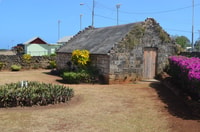 Tobago, Half Day Highlights Tour - Housity