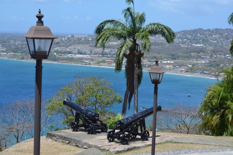 Tobago: Półdniowa wycieczka po atrakcjach