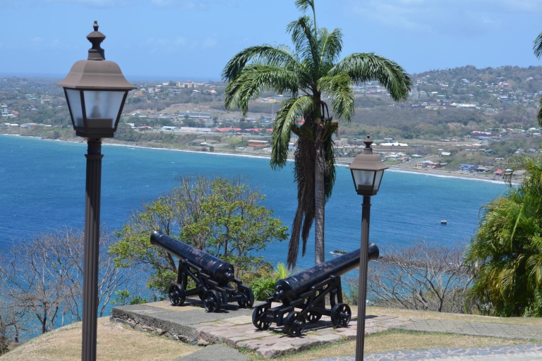 Tobago: Półdniowa wycieczka po atrakcjach