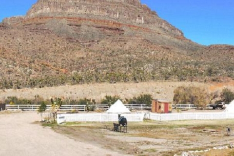 Las Vegas: Grand Canyon Ranch Tour with Horseback / Wagon Ride