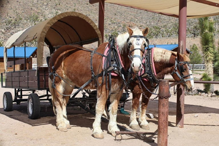 Las Vegas: tour al rancho del Gran Cañón con paseo a caballo o en carreta