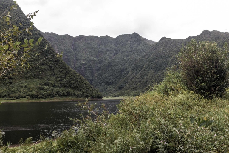 Gruppenwanderung um Grand Etang, Insel La Réunion.Gruppenwanderung rund um Grand Etang