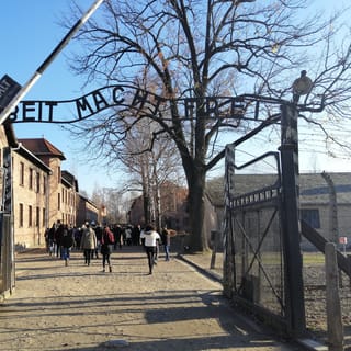 Z Warszawy: prywatna wycieczka do Auschwitz-Birkenau i Krakowa