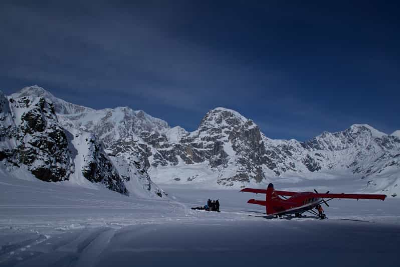 Talkeetna Mountain Voyager with Optional Glacier Landing GetYourGuide